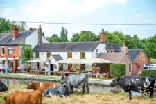 The Hollybush Inn Denford Photo