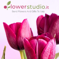 flowerstudio Photo