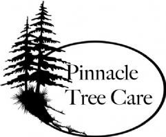 Pinnacle Tree Care Photo