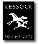 Kessock Equine Vets  Photo