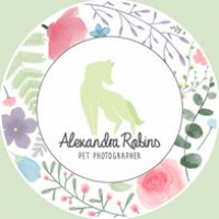 Alexandra Robins Pet Photographer Photo