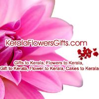 keralaflowersgiftsk Photo