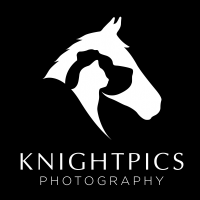 Knightpics Photography  Photo