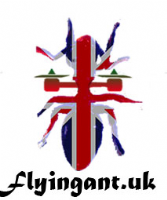 Flyingant LLP Photo