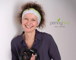 pennybird and camera Photo