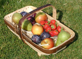 Thomas Smith's Trug Shop Photo