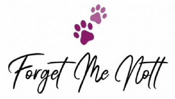 Forget me Nott Photo