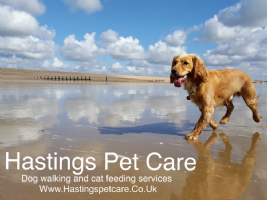 Hastings Pet Care Photo