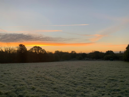 Holly Hedge Farm Photo