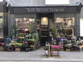 York Street Flowers Photo