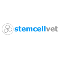 Stem Cell Vet Photo