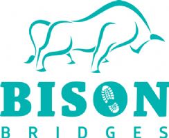 Bison Bridges Photo