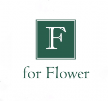 F for Flower Photo