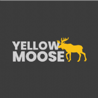 Yellow Moose Photo