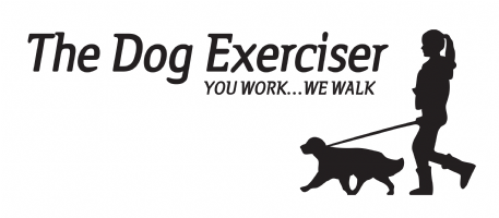 The Dog Exerciser  Photo