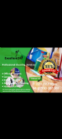 Excellent 247 Professional Cleaners  Photo