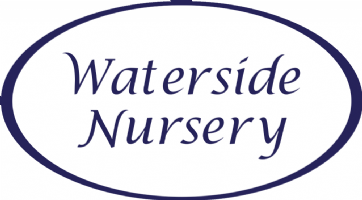 Waterside Nursery for pond plants online Photo