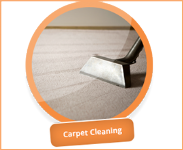 The Carpet Cleaner Man Photo