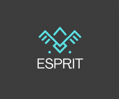 Esprit Property Consultancy Ltd Photo
