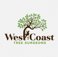 West Coast Tree Surgeons  Photo