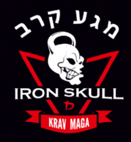 Iron Skull Krav Maga  Photo