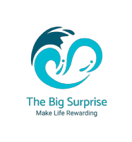 The Big Surprise Ltd Photo