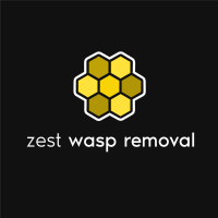 Zest Wasp Removal Photo