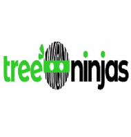 Tree Ninjas Photo