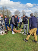 Sparta kennels uk Photo