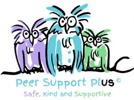 Peer Support Plus CIO Photo