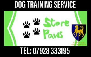 Store Paws Dog Training Service Photo