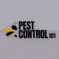 Pest Control 101 Photo