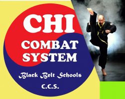 Chi Combat System Photo