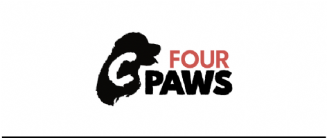 C Four Paws Pet Transport Photo