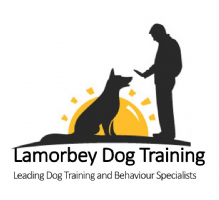 Lamorbey Dog Training Photo