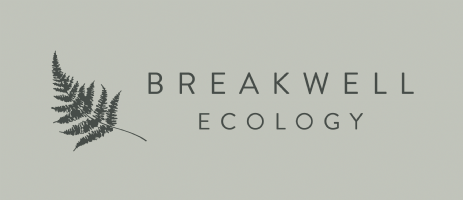 Breakwell Ecology Photo