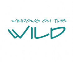 Windows On The Wild Photo