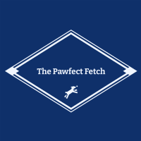 The Pawfect Fetch Photo