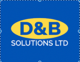 D&B Solutions.com Photo