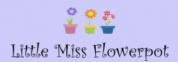 Little Miss Flowerpot  Photo