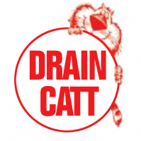 Drain Catt Photo