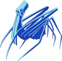 PelicanSpider Photo
