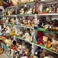 Sams lazy bears  Photo