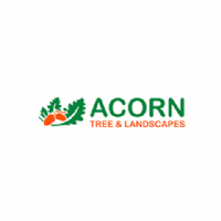 Acorn Landscapers & Tree Services Ltd Photo