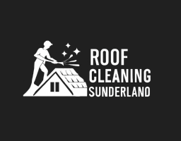 Roof Cleaning Sunderland UK Photo