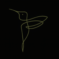 Little Bird EAs Photo