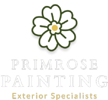 Primrose Painting Photo