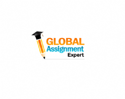 Global Assignment Expert Photo