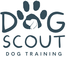 Dog Scout Training Photo