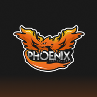 Phoenix Martial Arts Academy Photo